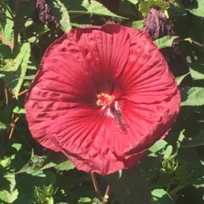 mirndw's profile picture. Here to explore