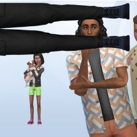 A couple with a jointed Sims 4 account making Maxismatch CC sims. GalleryID: bunandfox0910