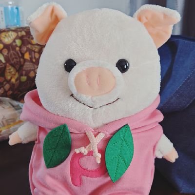 さらさんのプロフィール画像