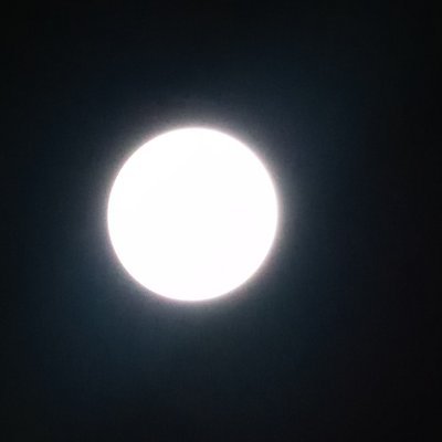 Noella09388105's profile picture. 