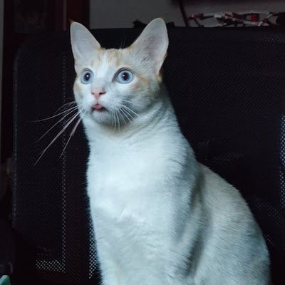 WilsonP24443294's profile picture. 