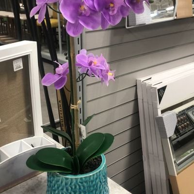 Growth52780398's profile picture. We are trying to help Black own company to growth