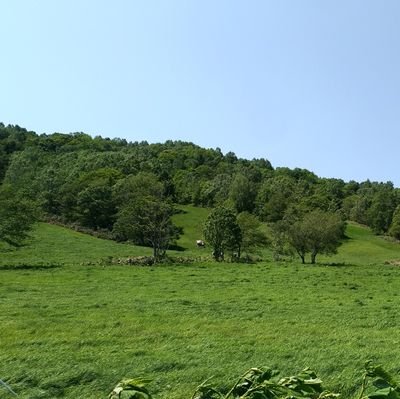 Tca99827690's profile picture. 無言フォロー失礼します🙂

温泉、キャンプ、車中泊、道の駅、JR無人駅巡り、最新や懐かしい音楽、HBCラジオ聞きながら（安全運転でー）道内食べ歩きドライブしてます👍

宜しくお願いします🙂
挨拶以外のDMはお断りしてます。