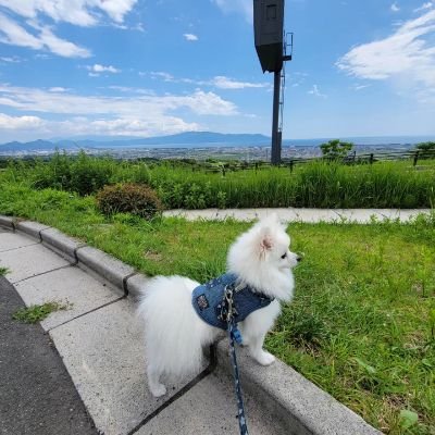 競馬・鉄道・野球・城・ラグビー・大相撲・犬
『打倒早慶』『打倒巨人』

明大政経卒。
紫紺の血が流れてます。
愛犬(ポメラニアン)を溺愛しています🐶