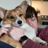toppulous's profile picture. Seattle based programmer. This is where I shout dumb opinions into the void and sometimes post minis