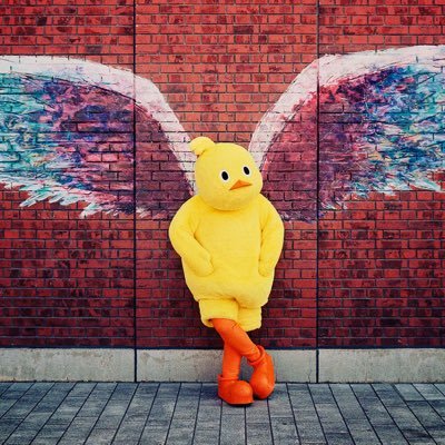 asensio1456's profile picture. a.wanderer