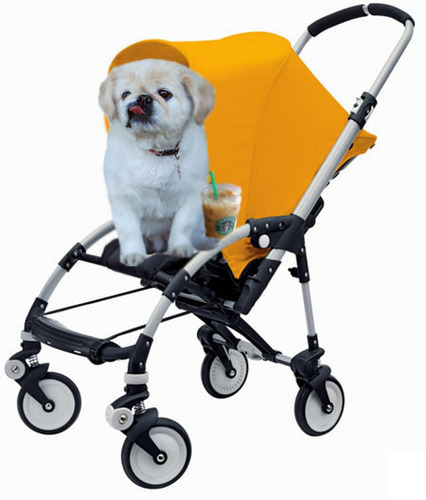 Strollers, dogs and more strollers...