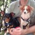 Carol Harrison (@carol_oceanmtns) Twitter profile photo Carol Harrison (@carol_oceanmtns) Twitter profile photo