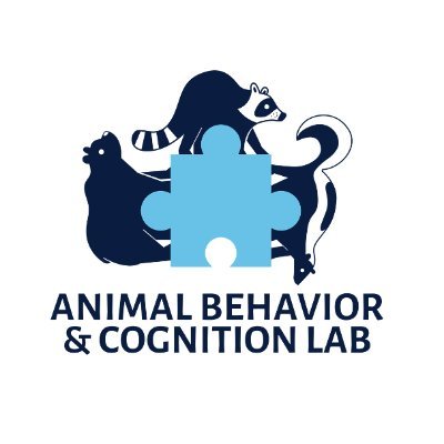 Animal Behavior and Cognition research lab at the University of British Columbia (Vancouver). UBC Urban Wildlife Project. University of Wyoming Raccoon Project.