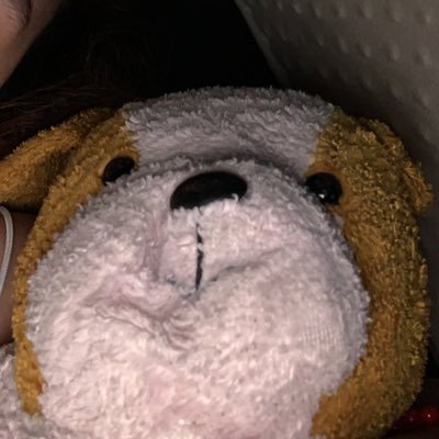 enola1334's profile picture. 