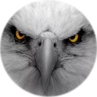 José Fernandes (RESERVA) (@josfern00359046) 's Twitter Profile Photo