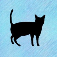 nycatsn (@ny_catsn) 's Twitter Profile