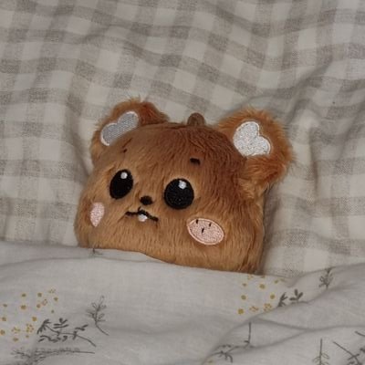 gomchani's profile picture. NCT 해찬 10cm 인형
G.O=DM 1차/2차 재고판매