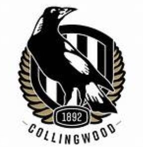 ApplesPies53's profile picture. Passionate Magpie. Joined 1963. Still going strong.