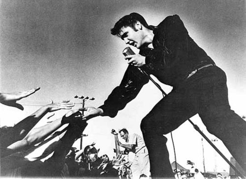 Check Out The Denver Area's Newest Restaurant , Bar and Live Music Venue. Rockabillies is dedicated to the Pioneers of what is now know as Rock & Roll !
