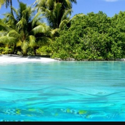 MelvinR64189353's profile picture. 