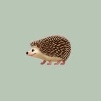 いち🦔 | Web・UIデザインのコツ紹介 (@ichi_uiux) 's Twitter Profile