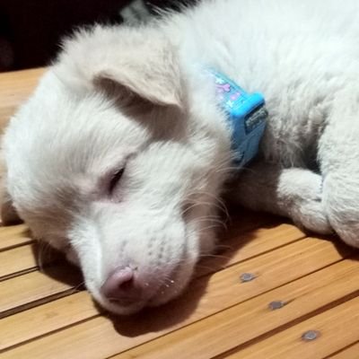 Minsan si Frances,
Minsan si Cassie,
Minsan si Aiah