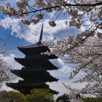 7月3日より始動 東寺は目の保養です