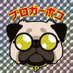 ぽこ (@poko_blog) Twitter profile photo ぽこ (@poko_blog) Twitter profile photo
