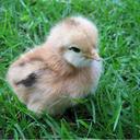 Walter Kessler - @walterk88 - Twitter