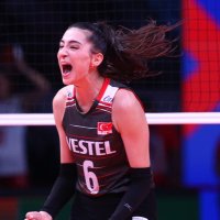 🐅 (@volleyballvnl) Twitter profile photo