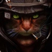 Ukrainian Cat(@UkraineLLC) 's Twitter Profile Photo