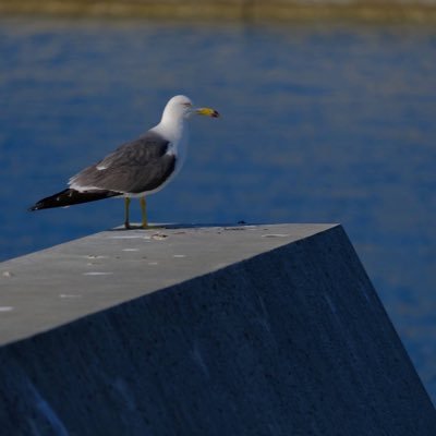 EfosDECsYGsWYyE's profile picture. 