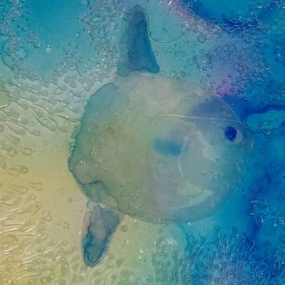 めぐさん＊さんのプロフィール画像