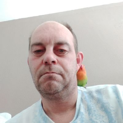 lakilaak's profile picture. 