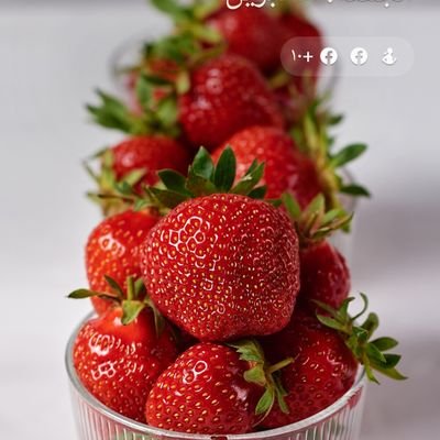 E83pCj's profile picture. لا امان للبشر