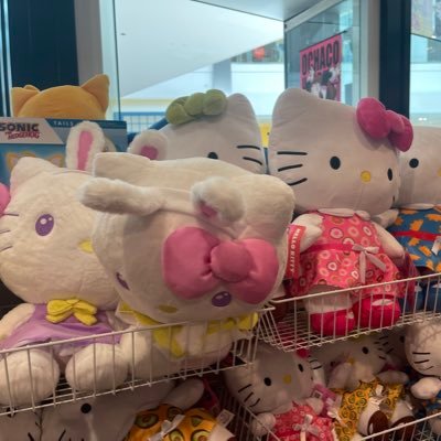 allahofchicago's profile picture. 