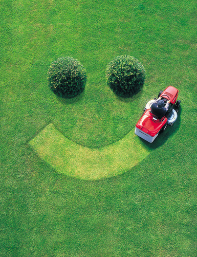 I love gardening and lawn care. It's my passion and I love to discuss it and chat with others about it.