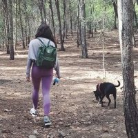 Lauu (@lawralu) 's Twitter Profile