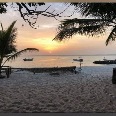 BrightKDzokoto's profile picture. Work hard. Dream big. Never give up.