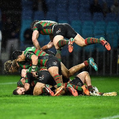 CarolBensonc94's profile picture. Have a dog and two birds my unconditional love for the South Sydney Rabbitohs