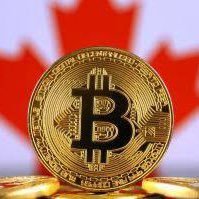 Canadian Bitcoin Freak(@CA__Bitcoin) 's Twitter Profile Photo