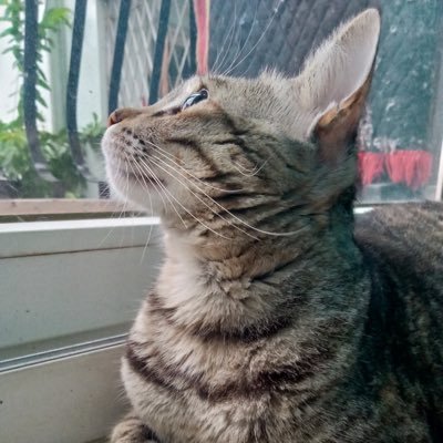 Ee_ha's profile picture. arriving somewhere but not here