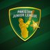 Pakistan Junior League (@ThePJLofficial) Twitter profile photo