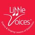 LittleVoicesLeicester (@LVLeicester) Twitter profile photo