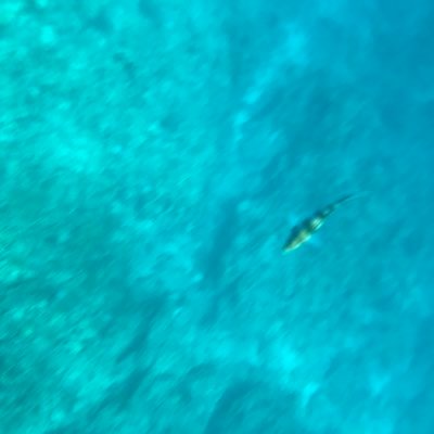 mKznCsQbdNWXoSY's profile picture. ラッキーFMリスナーです。