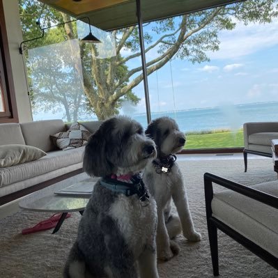 AndrewFrankel2's profile picture. All about Family 9178347000