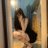 S08991702's profile image