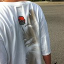 Shane Strong - @Negati0n - Twitter