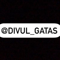 DivulGatas 🍑🍒(@divul_gatas) 's Twitter Profileg