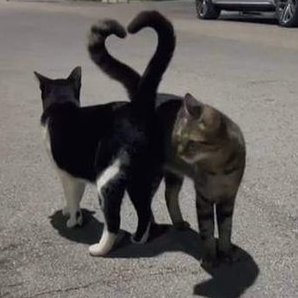 pimil_khwam's profile picture. 