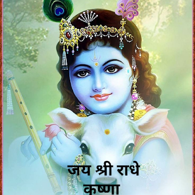 pawanraghav3390's profile picture. 