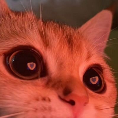 cl72981054's profile picture. 