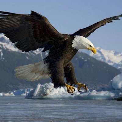 ruben7107's profile picture. Take one day at a time. God is in control.