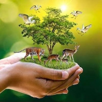 ReddyMannuri's profile picture. Respect NATURE